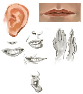 Anebarone - estudos de anatomia em pintura digital de partes do rosto e mãos