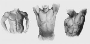 estudos da anatomia de torsos com sombreamento em pintura digital e tons de cinza