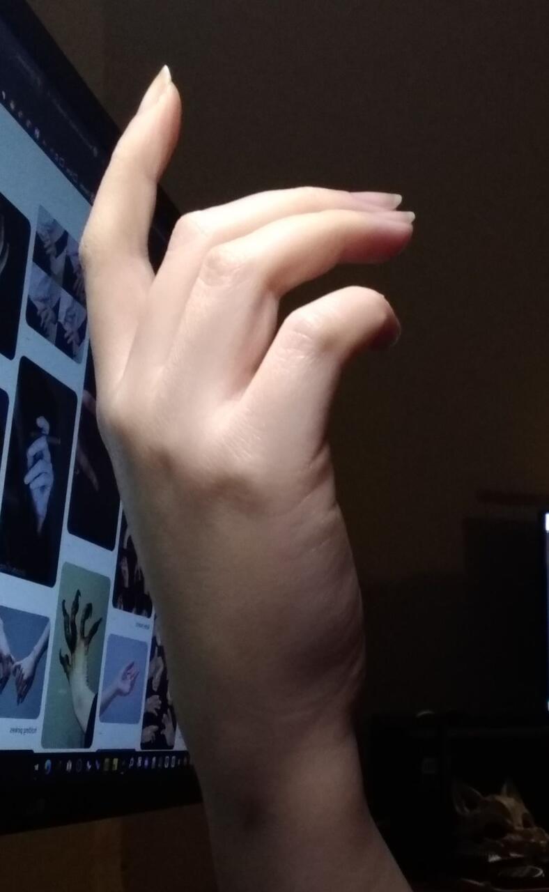 Photo reference of a hand gesture