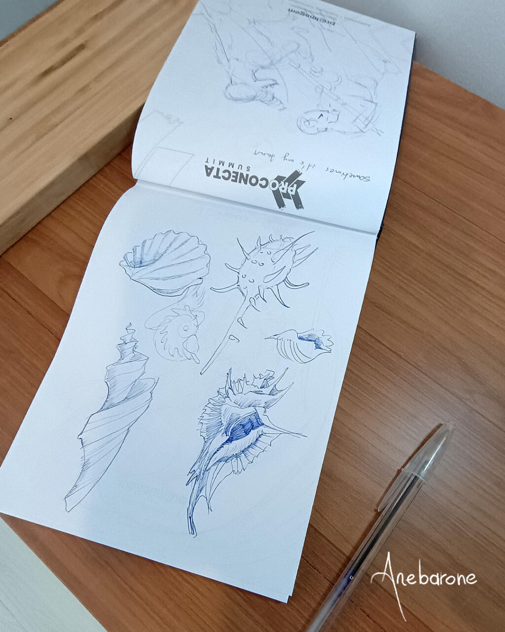 ballpoint pen drawings of seashells