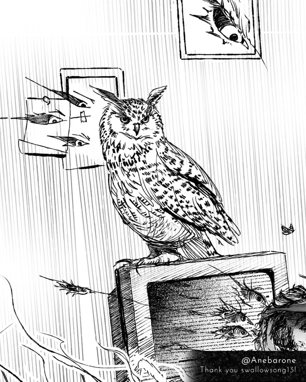 Owl closeup